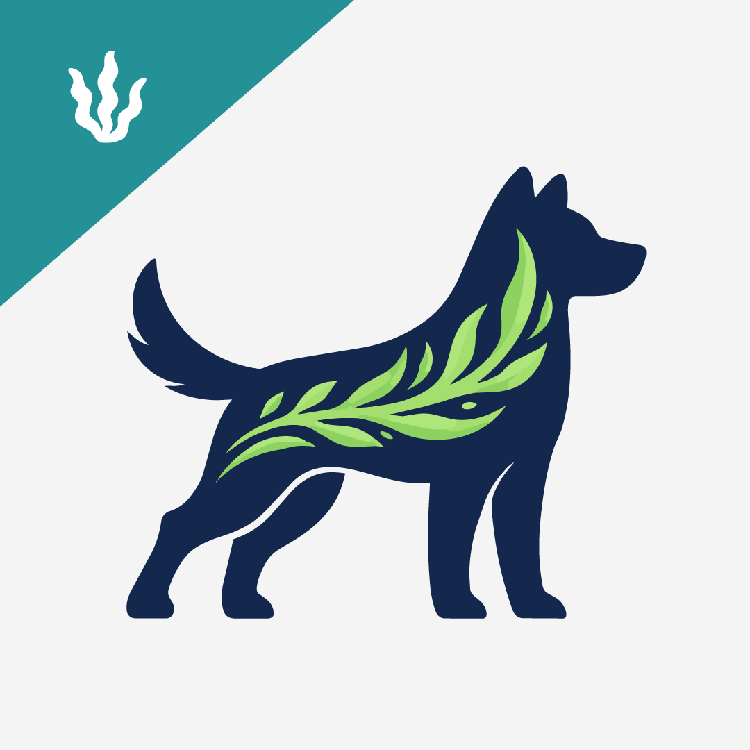 The Incredible Health Benefits Of Seaweed For Dogs: A Complete Guide