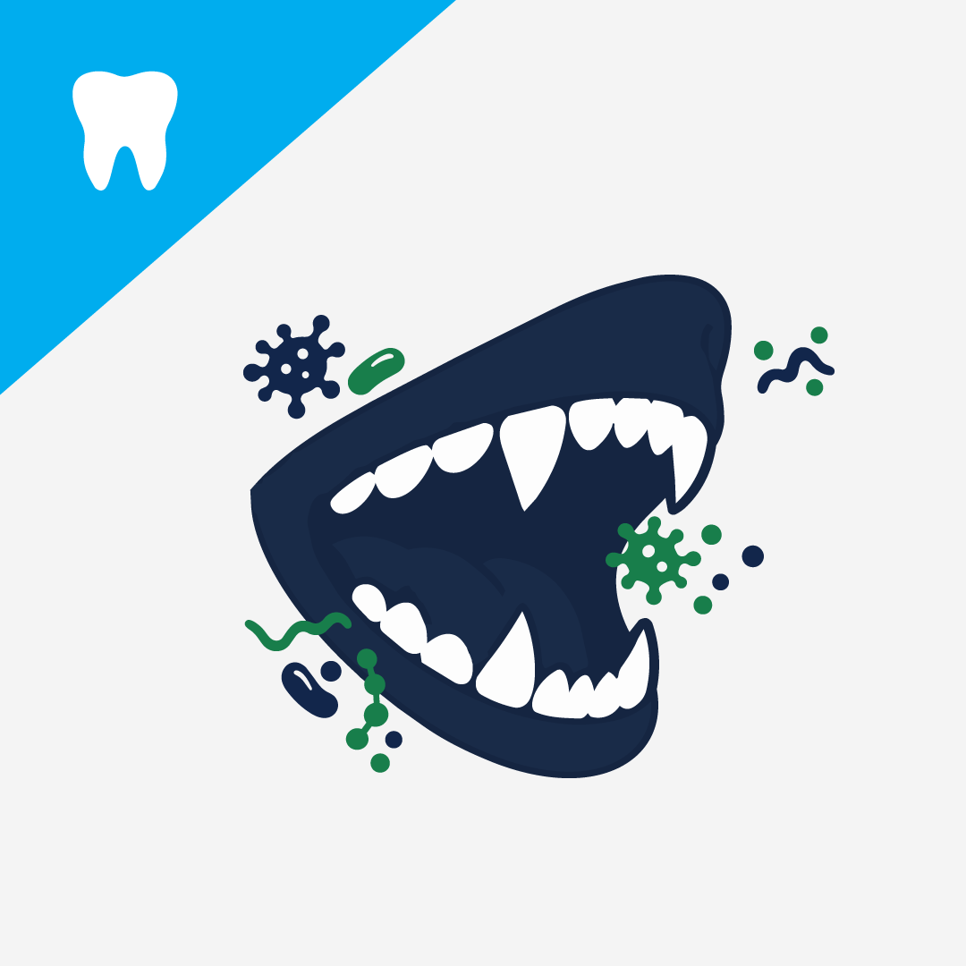 The Dog’s Oral Microbiome: The Hidden Ecosystem That Shapes Canine Health