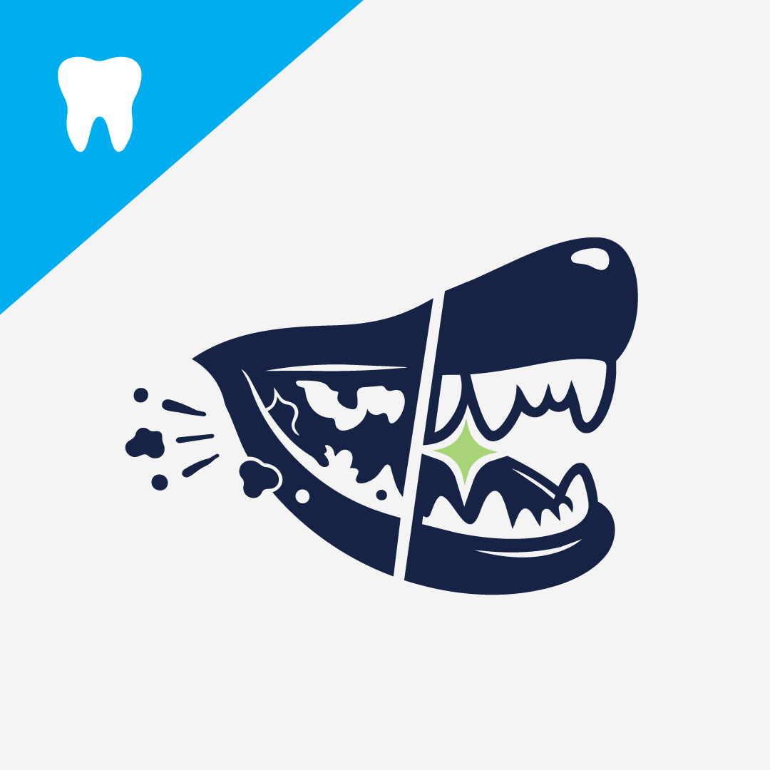 Why Detoxing Your Dog’s Dental Health Matters