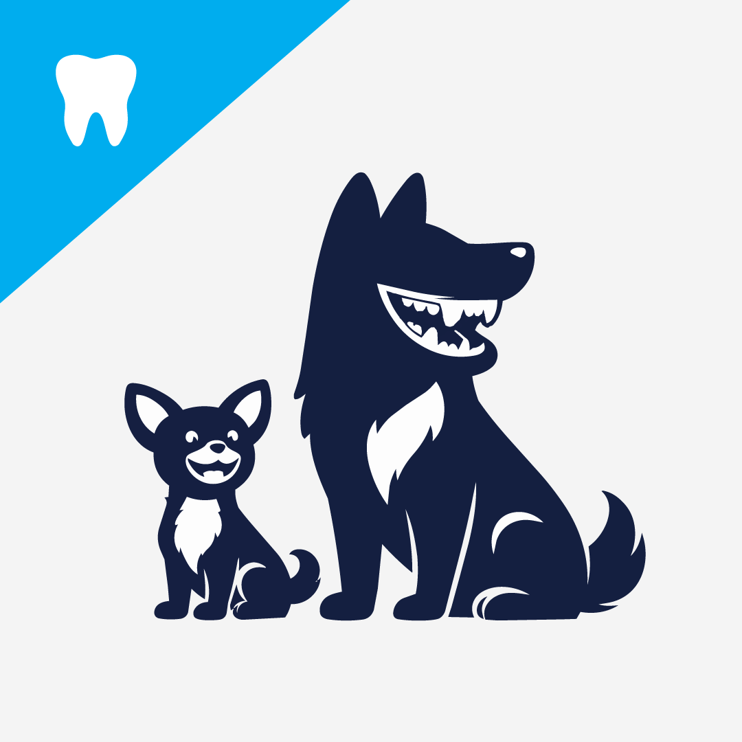 Why a Dogs Size Matters in Canine Dental Health