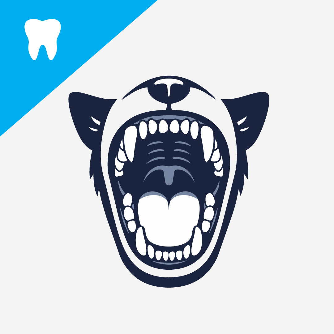 What Are the Most Plaque-Prone Areas of a Dog’s Teeth or Mouth?