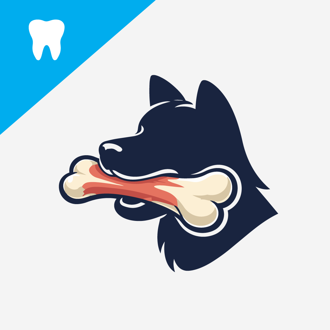 Feeding Dogs Raw  Bones