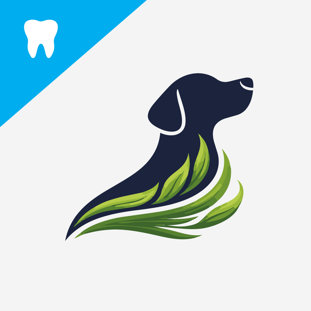 Why Seaweed Is A Natural Solution For Dog Dental Health