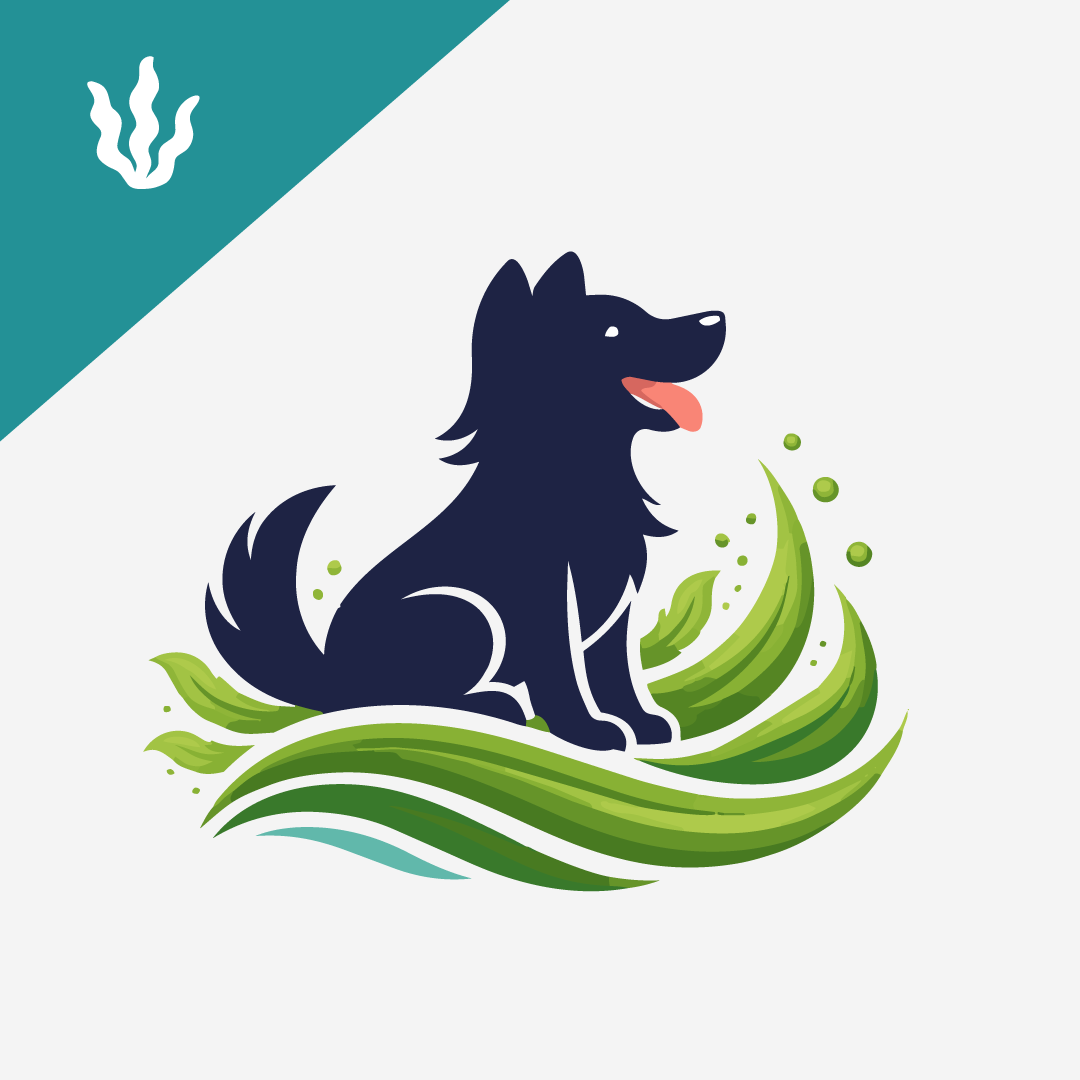 Seaweed for Dogs: Benefits, Species, and Safe Use