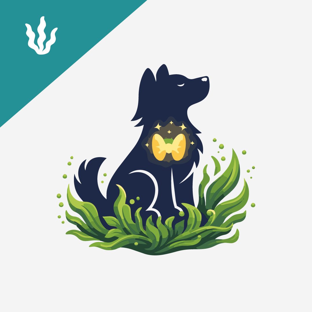 How Seaweed Supports the Thyroid and Hormonal Balance in Dogs
