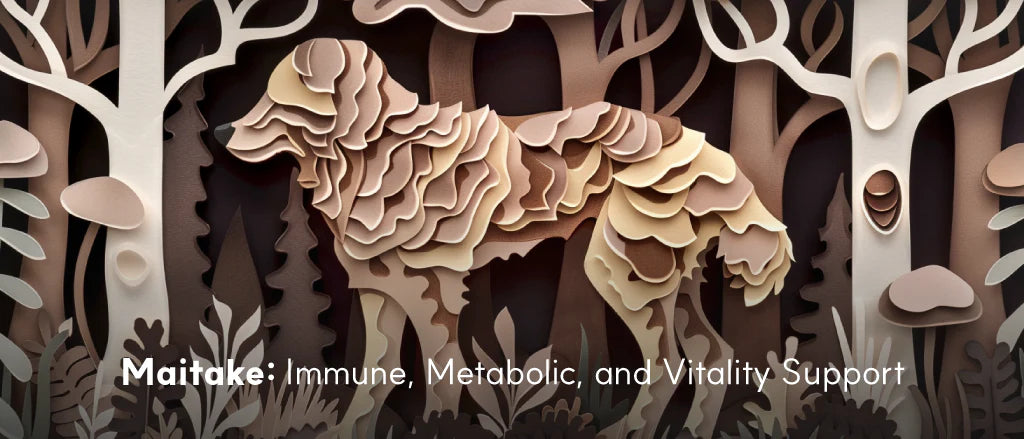 Benefits of Maitake Mushrooms for Dogs