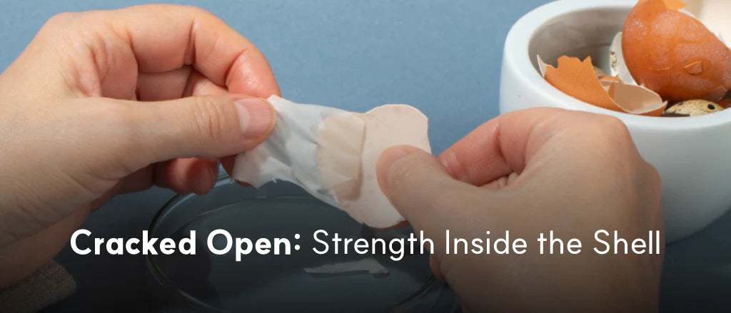 Egg Shell Membrane for Dogs: Processing, Extraction Methods, and Global Sourcing