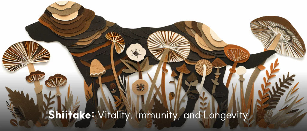 Benefits of Shiitake Mushrooms for Dogs