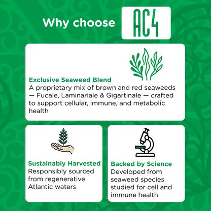 AC4 | To Support Longevity and Wellness in Senior Dogs - Seaweed For Dogs