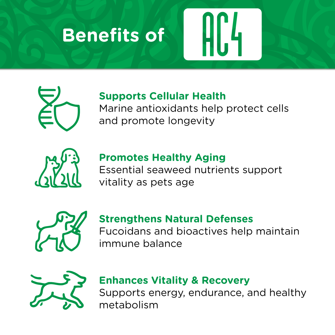 AC4 | To Support Longevity and Wellness in Senior Dogs - Seaweed For Dogs