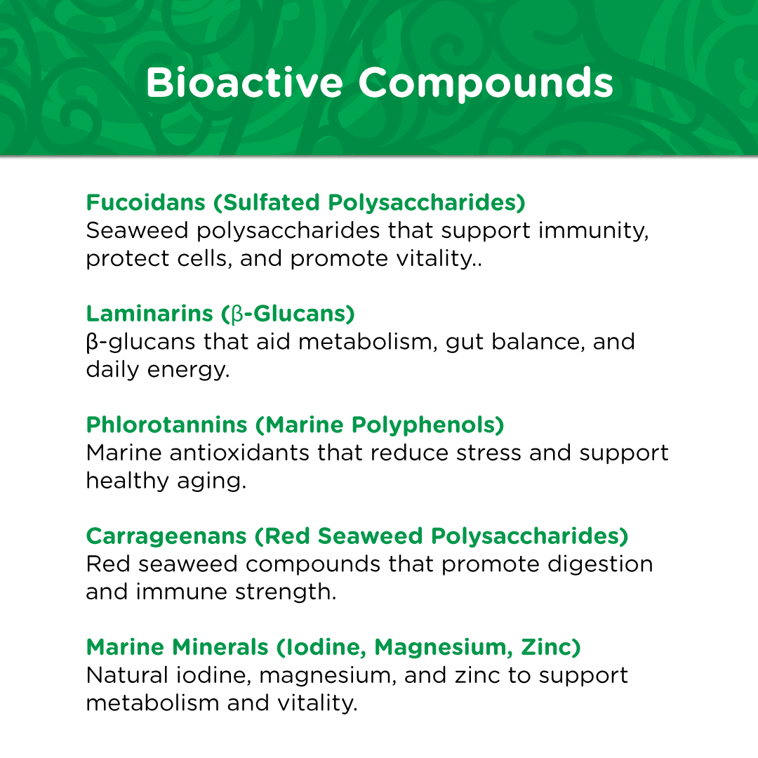 List of key compounds in AC4 including fucoidans, laminarins, phlorotannins, carrageenans, and marine minerals such as iodine, magnesium, and zinc.
