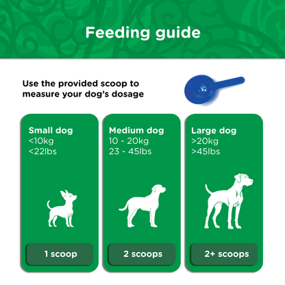 Feeding guide for AC4 showing dosage using the included scoop — 1 scoop for small dogs under 10kg, 2 scoops for medium dogs 10–20kg, and 2 or more scoops for large dogs over 20kg.