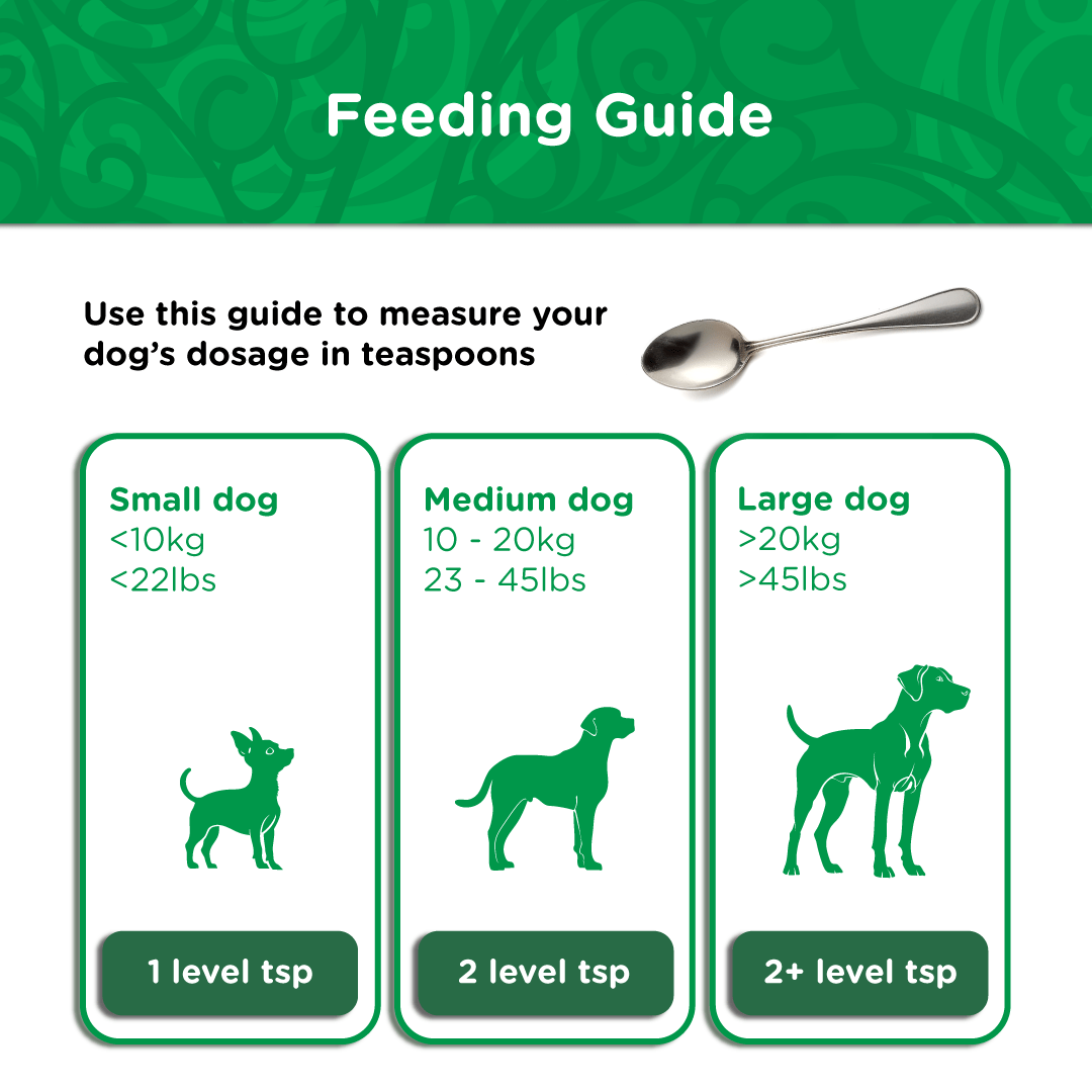 Feeding guide for AC4 showing dosage in teaspoons — 1 teaspoon for small dogs under 10kg, 2 teaspoons for medium dogs 10–20kg, and 2 or more teaspoons for large dogs over 20kg.