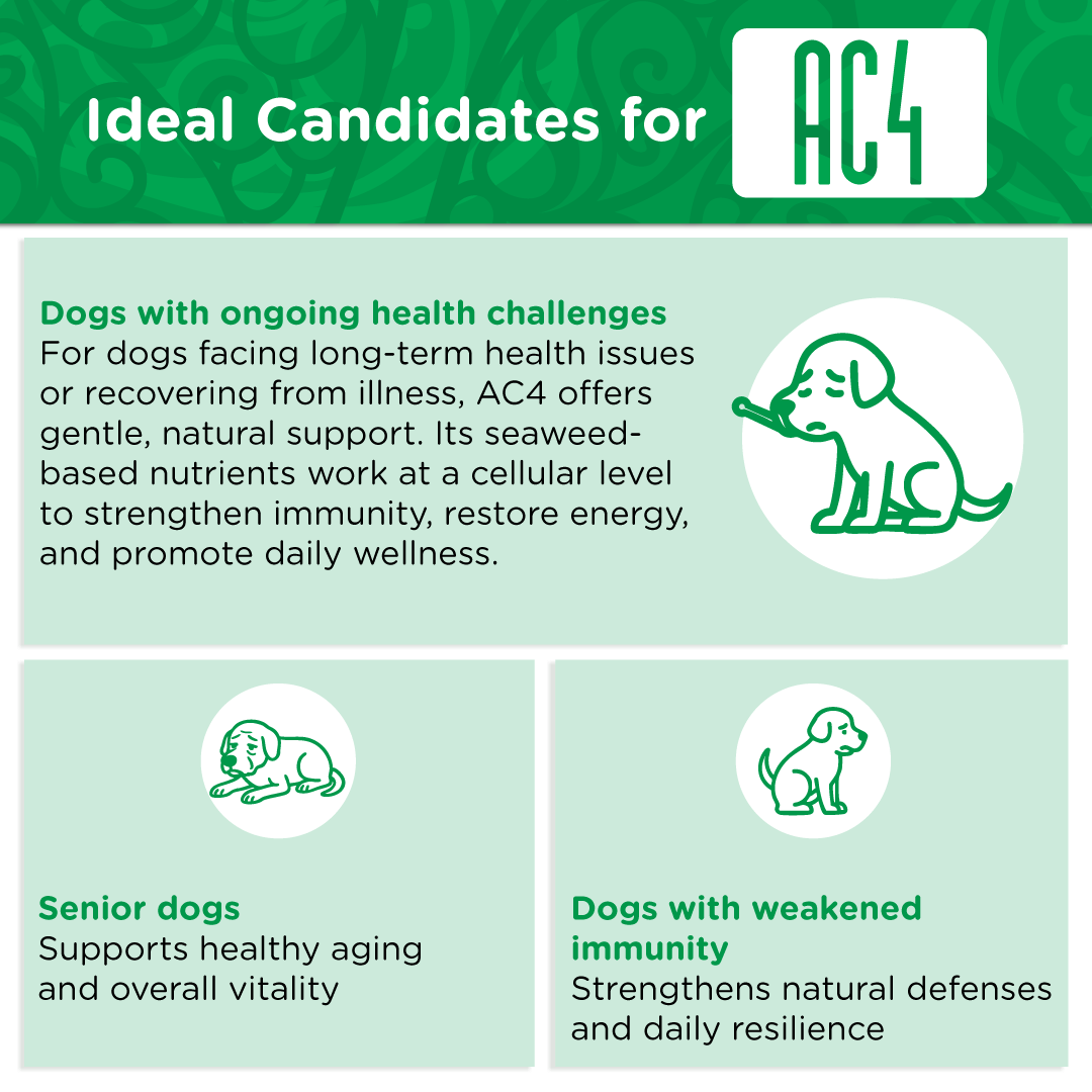 Infographic showing which dogs benefit from AC4 — dogs with ongoing health challenges, senior dogs, and those with weakened immunity.