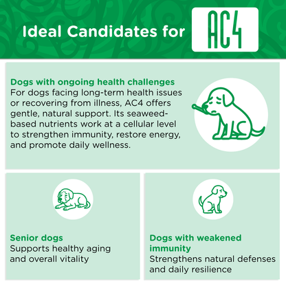 Infographic showing which dogs benefit from AC4 — dogs with ongoing health challenges, senior dogs, and those with weakened immunity.