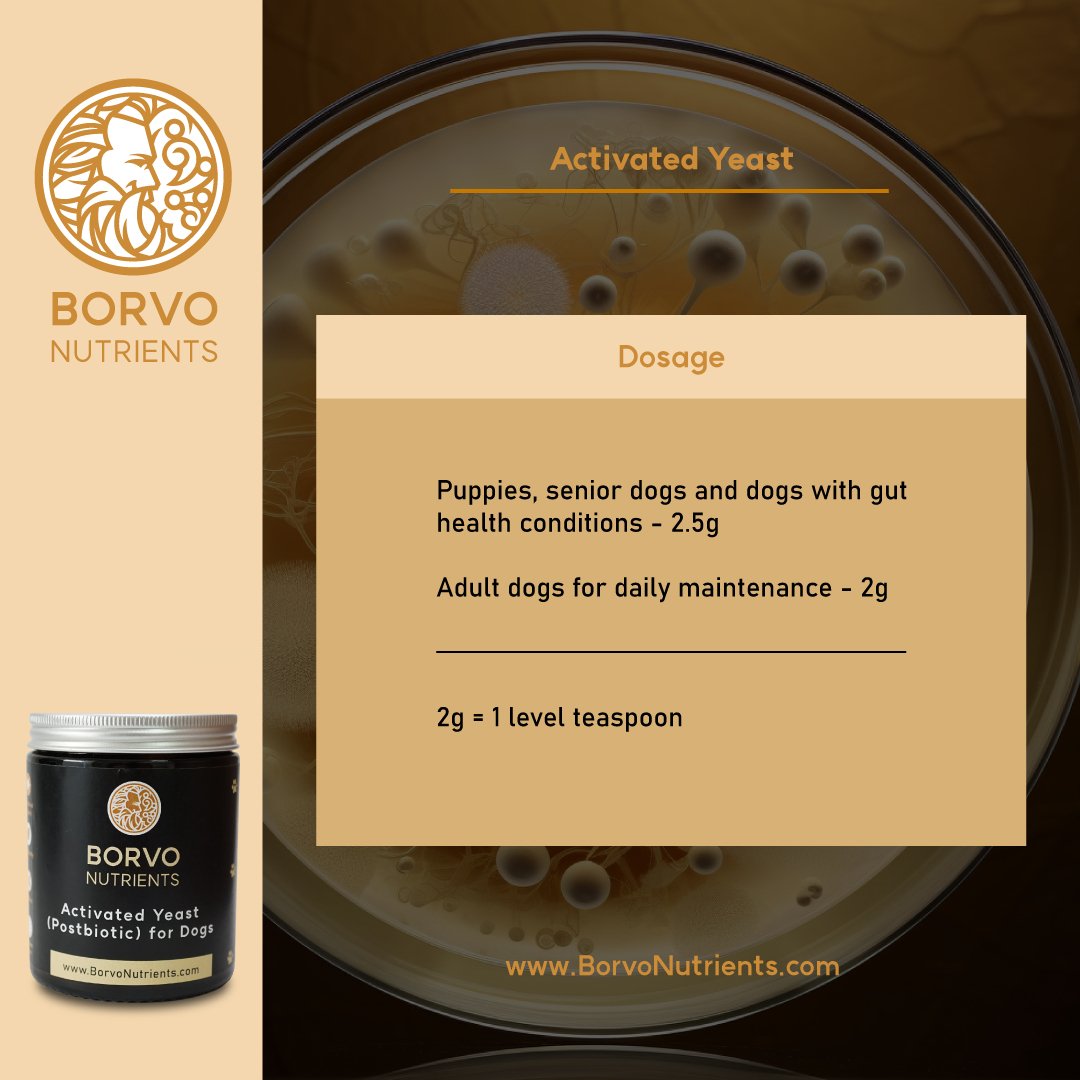Dosage guide for Activated Yeast Postbiotic — puppies, seniors, or dogs with gut issues 2.5g; adults 2g daily (1 teaspoon).