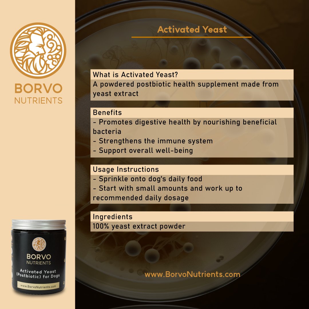 Infographic describing Activated Yeast Postbiotic — promotes digestive and immune health, supports well-being; 100% yeast extract powder