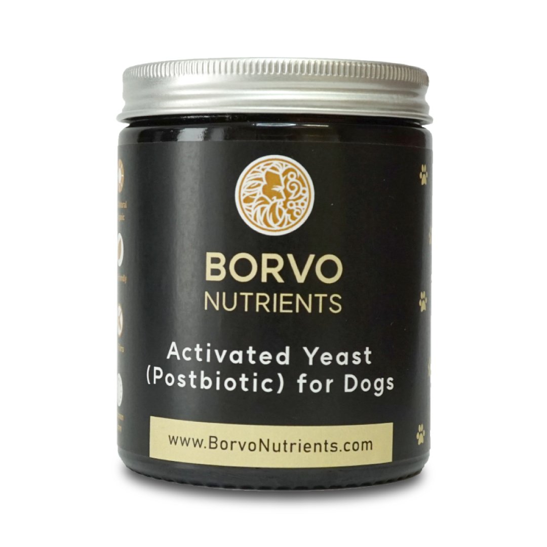 Black jar of Borvo Nutrients Activated Yeast Postbiotic for Dogs — natural supplement for gut and immune health.