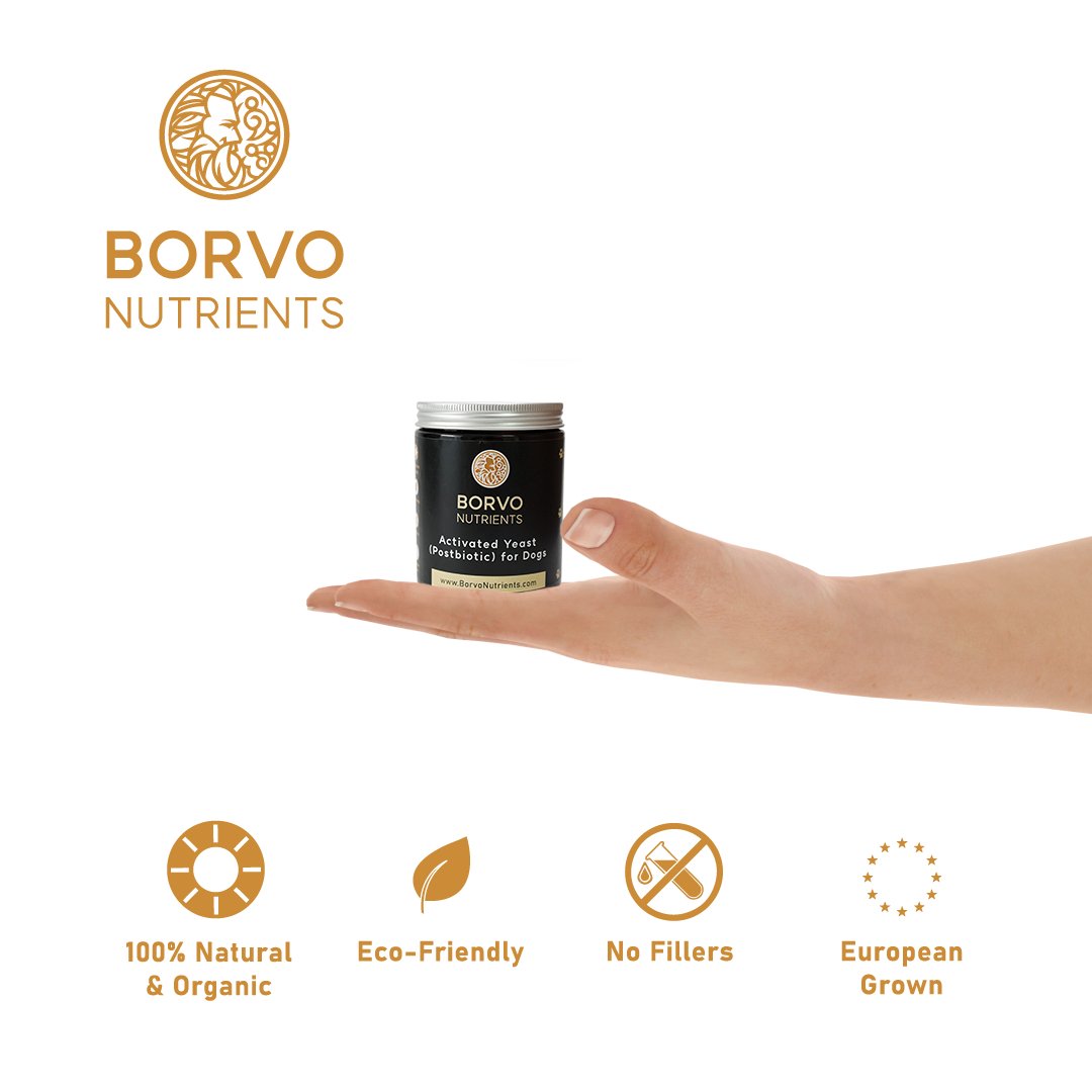 Photo of hand holding Borvo Nutrients Activated Yeast Postbiotic jar with icons for 100% natural, eco-friendly, no fillers, European grown.