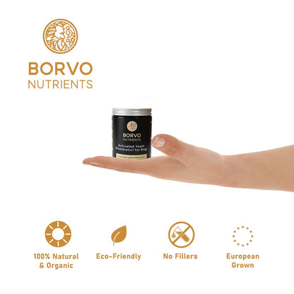 Photo of hand holding Borvo Nutrients Activated Yeast Postbiotic jar with icons for 100% natural, eco-friendly, no fillers, European grown.
