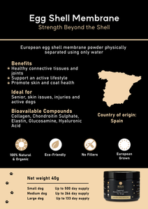 Borvo Nutrients Egg Shell Membrane, detailing benefits, ideal use, bioavailable compounds, and the country of origin, Spain. Includes supply duration for different dog sizes.