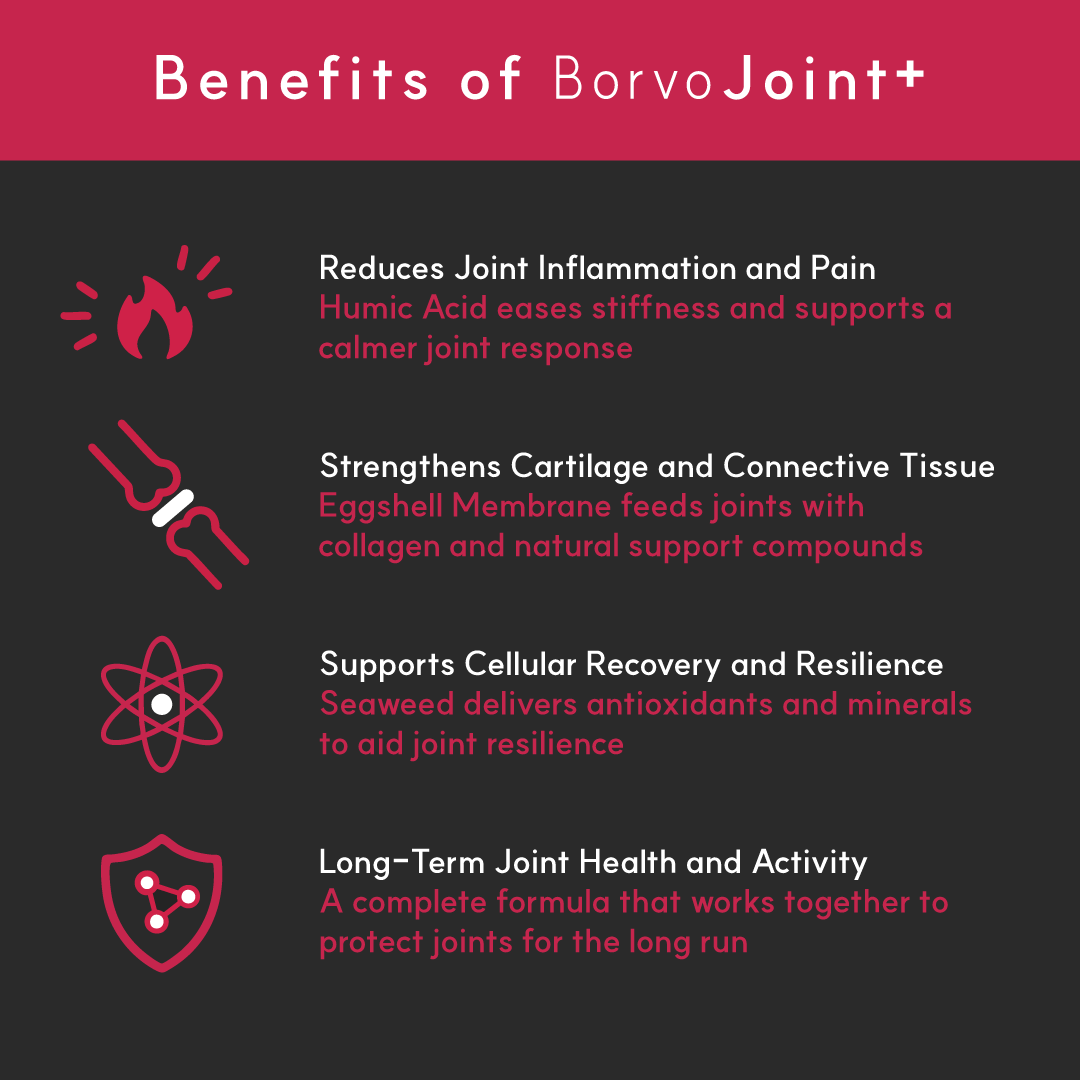 Infographic showing BorvoJoint+ benefits — reduces joint inflammation, strengthens cartilage, supports recovery, and promotes long-term mobility.