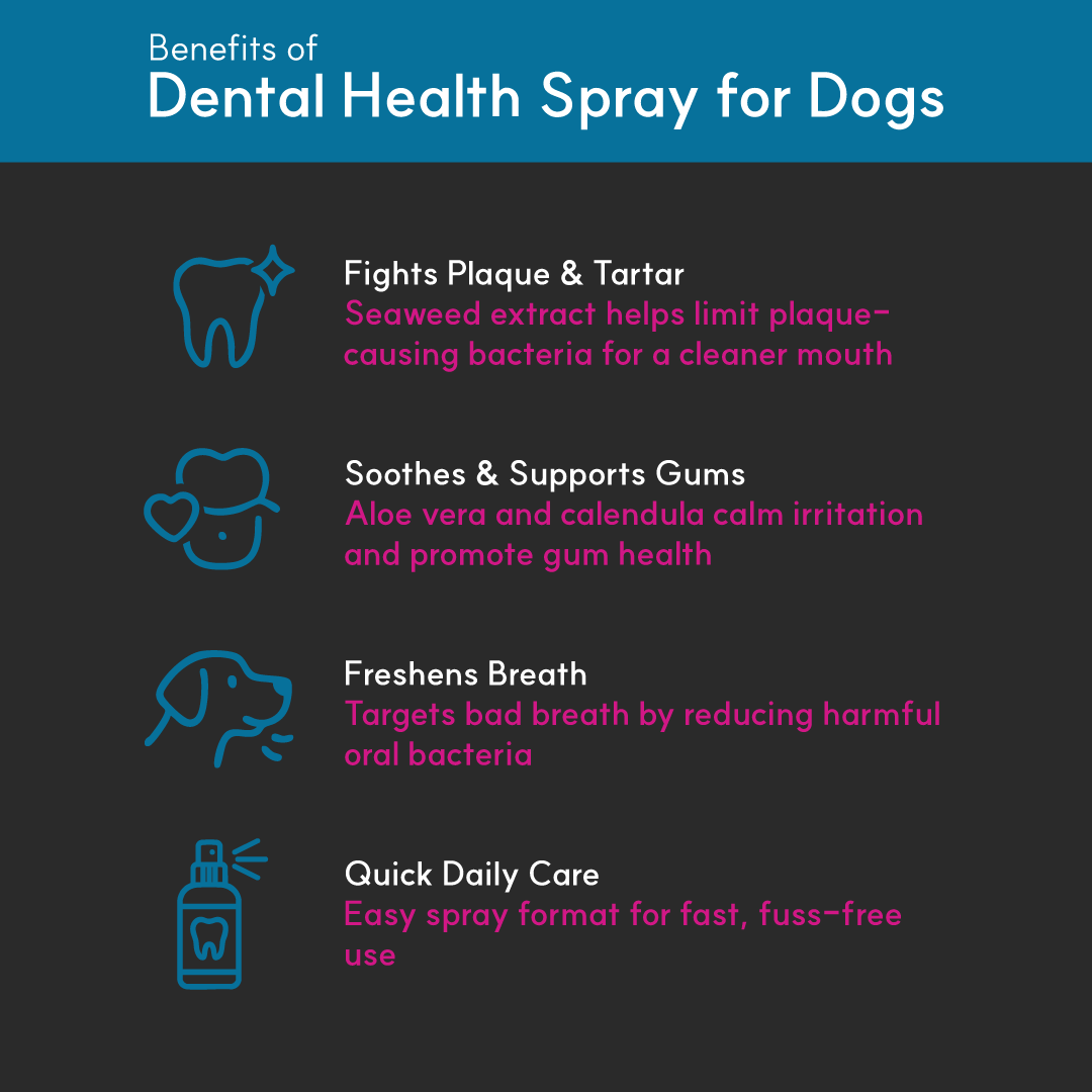Infographic on dog dental care benefits — seaweed extract fights plaque and tartar, soothes gums, freshens breath, and supports daily oral hygiene.