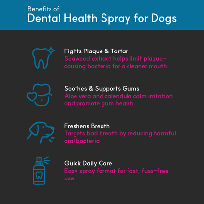 Infographic on dog dental care benefits — seaweed extract fights plaque and tartar, soothes gums, freshens breath, and supports daily oral hygiene.