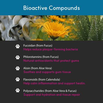 Infographic showing natural ingredients in dog dental spray — fucoidan, phlorotannins, aloin, flavonoids, and polysaccharides from seaweed, aloe, and calendula.