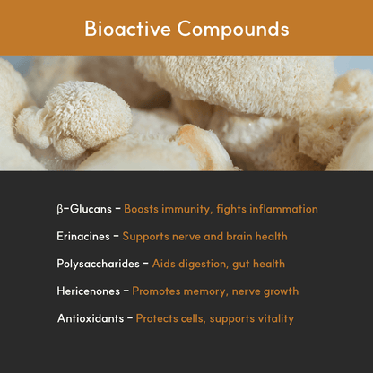 Infographic listing key bioactives in Lion’s Mane: beta-glucans, erinacines, polysaccharides, hericenones, and antioxidants — for immunity and nerve health