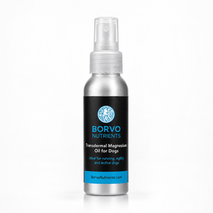Transdermal Magnesium Oil for Dogs