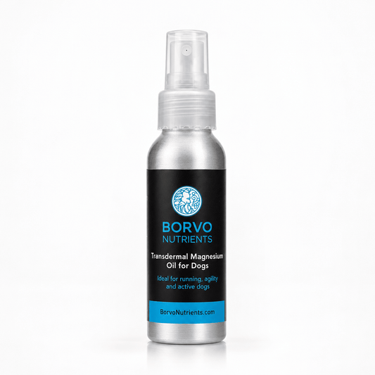 Transdermal Magnesium Oil for Dogs - Seaweed For Dogs