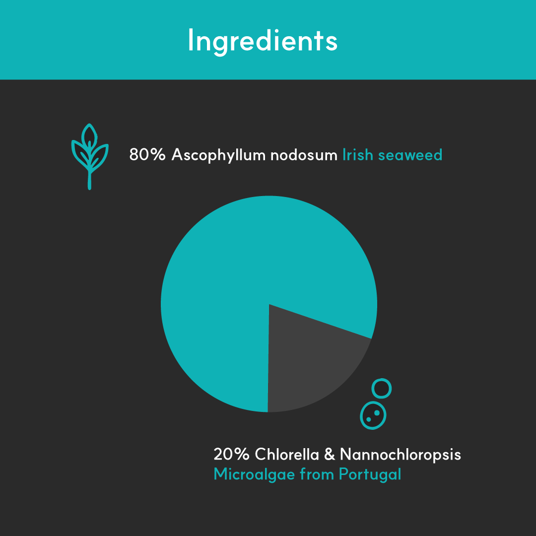 Pie chart of BorvoDental+ ingredients — 80% Irish brown seaweed (Ascophyllum nodosum) and 20% Portuguese green microalgae.