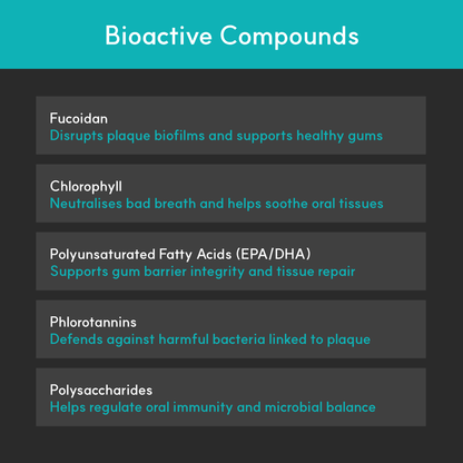 Infographic listing BorvoDental+ bioactives — fucoidan, chlorophyll, EPA/DHA fatty acids, phlorotannins, and polysaccharides for gum and oral support.