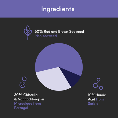 Pie chart of BorvoEye+ ingredients — 60% Irish red and brown seaweed, 30% Portuguese microalgae, and 10% Serbian humic acid.