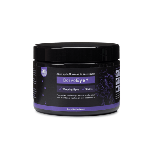 Black jar of Borvo Nutrients BorvoEye+ supplement for dogs — supports tear stain reduction, clearer eyes, and natural eye function.