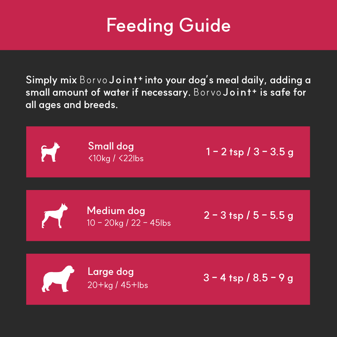 Feeding guide for BorvoJoint+ — small dogs 3–3.5g, medium 5–5.5g, large 8.5–9g daily mixed into food