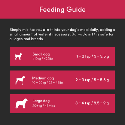 Feeding guide for BorvoJoint+ — small dogs 3–3.5g, medium 5–5.5g, large 8.5–9g daily mixed into food