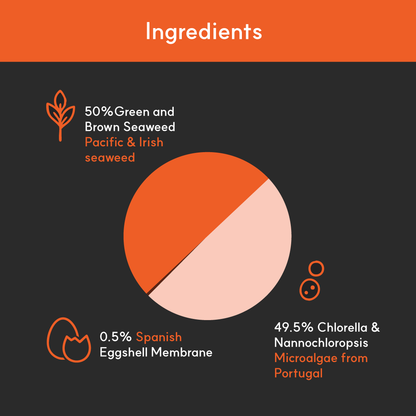 Pie chart of BorvoSkin&Coat+ ingredients — 50% green and brown seaweed, 49.5% Portuguese microalgae, 0.5% Spanish eggshell membrane.