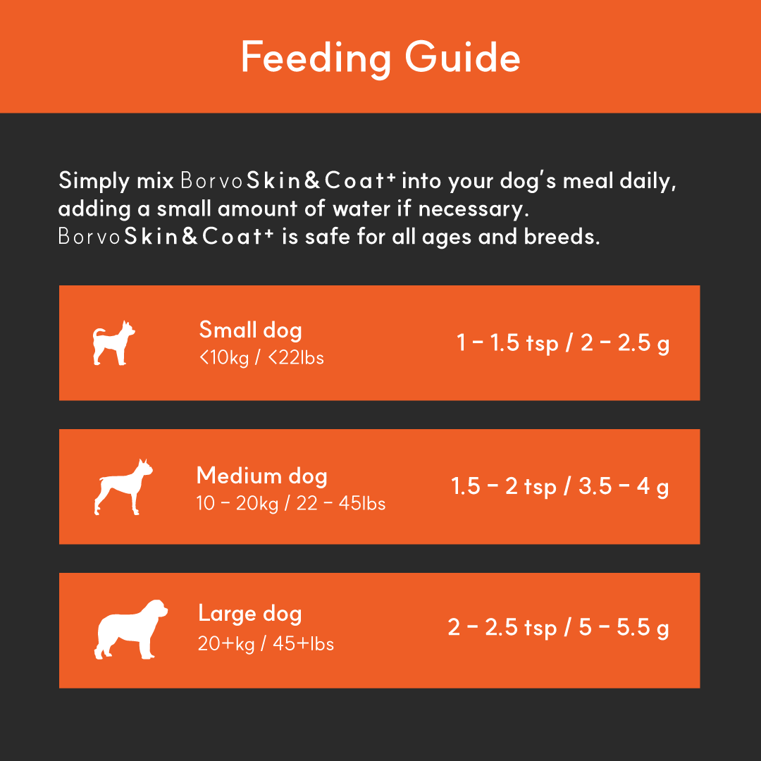 Feeding guide for BorvoSkin&Coat+ — small dogs 2–2.5g, medium 3.5–4g, large 5–5.5g daily mixed into meals.