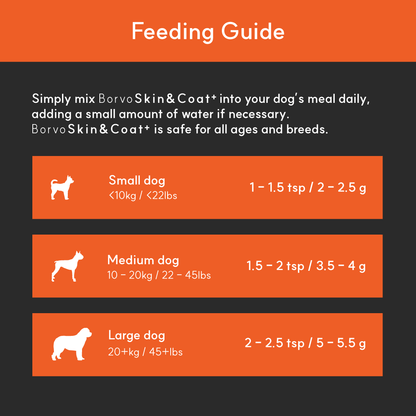 Feeding guide for BorvoSkin&Coat+ — small dogs 2–2.5g, medium 3.5–4g, large 5–5.5g daily mixed into meals.