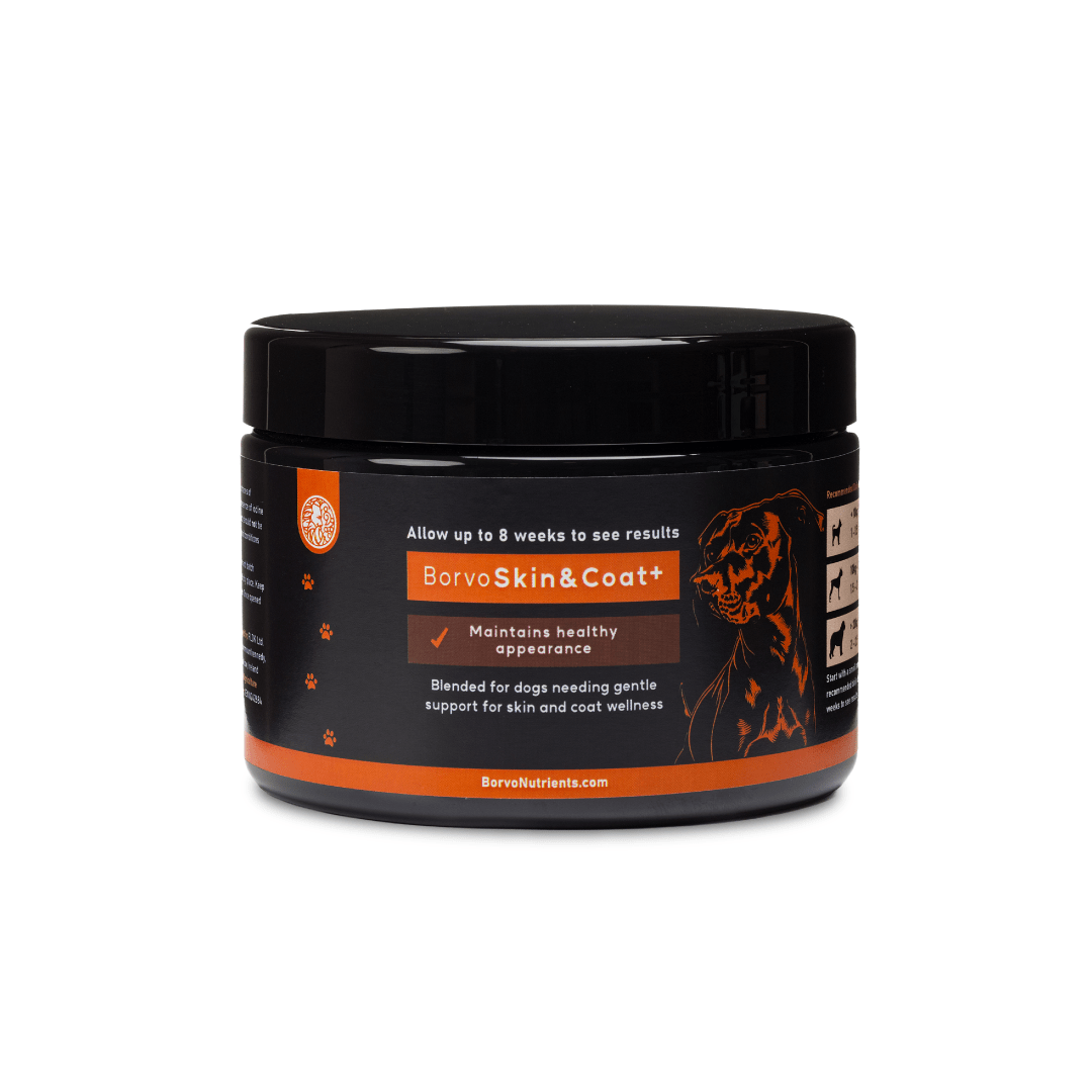 Black jar of Borvo Nutrients BorvoSkin&Coat+ supplement for dogs — supports skin health, coat shine, and itch relief.
