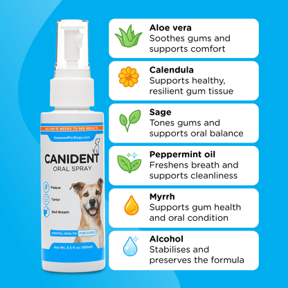 Canident Oral Spray | Dental Health For Dogs - Seaweed For Dogs