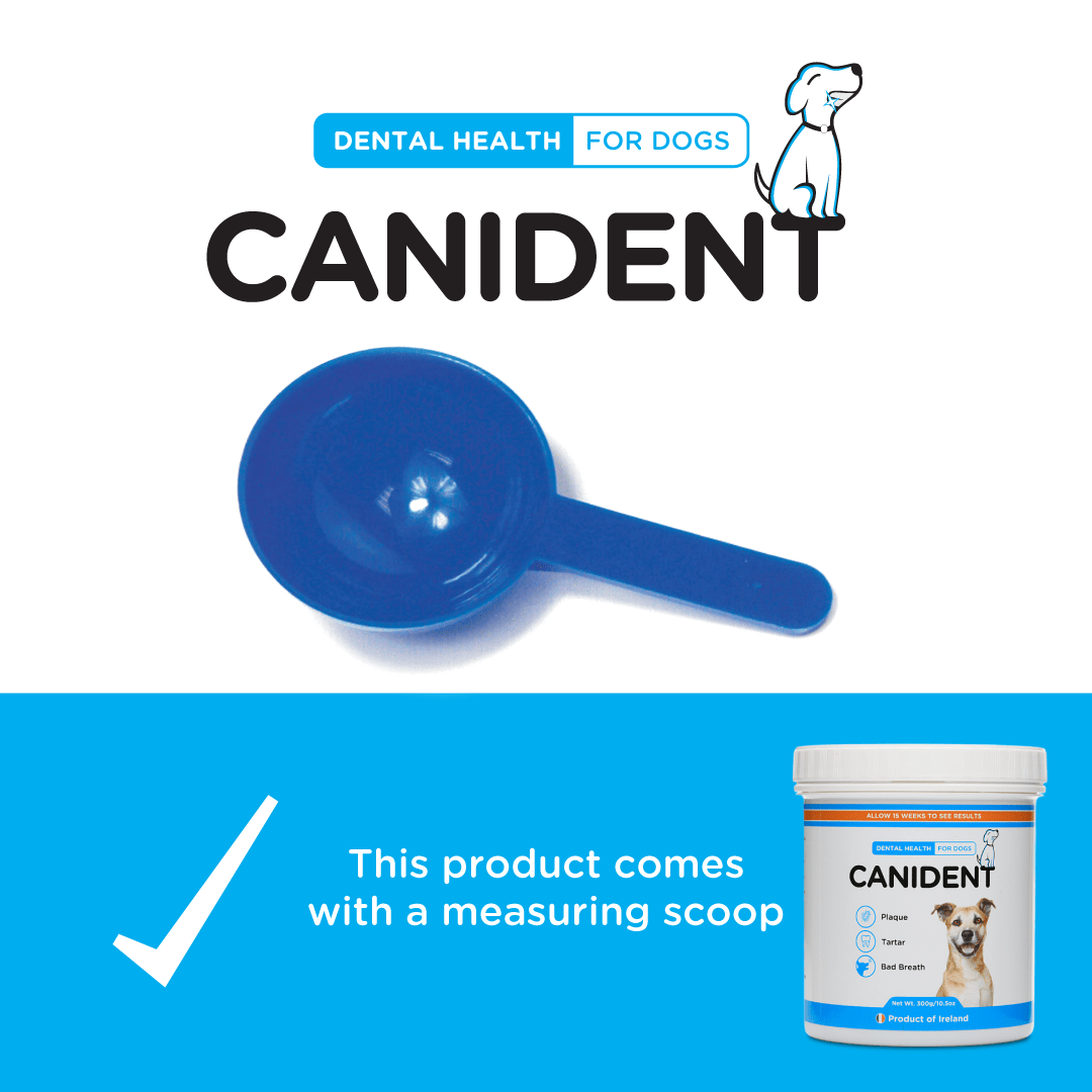 Canident Dog Dental Powder – Natural Seaweed Plaque Remover for Dogs - Seaweed For Dogs