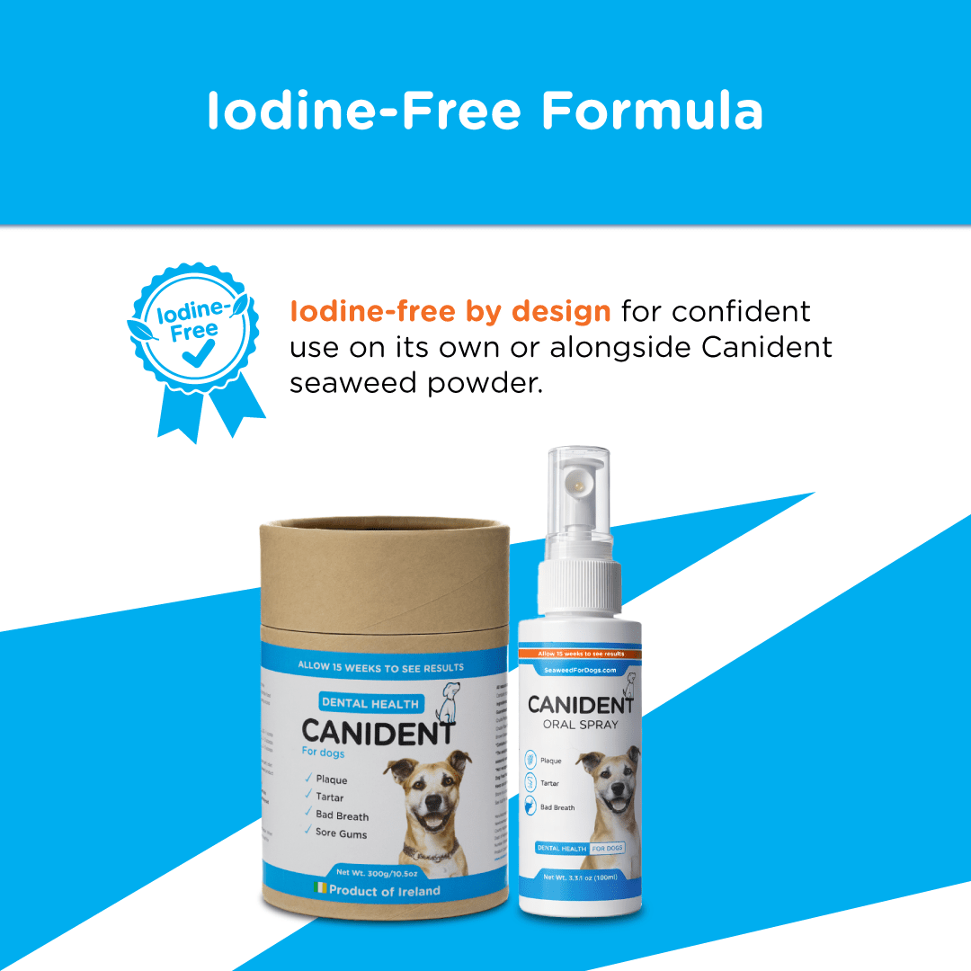 Canident Oral Spray | Dental Health For Dogs - Seaweed For Dogs