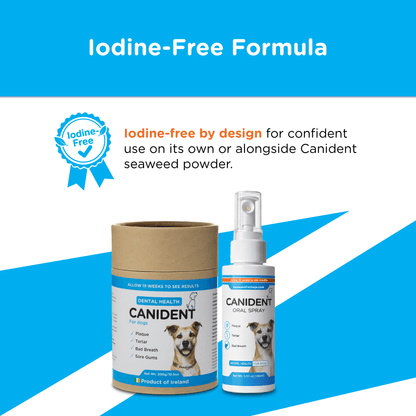 Canident Oral Spray | Dental Health For Dogs - Seaweed For Dogs