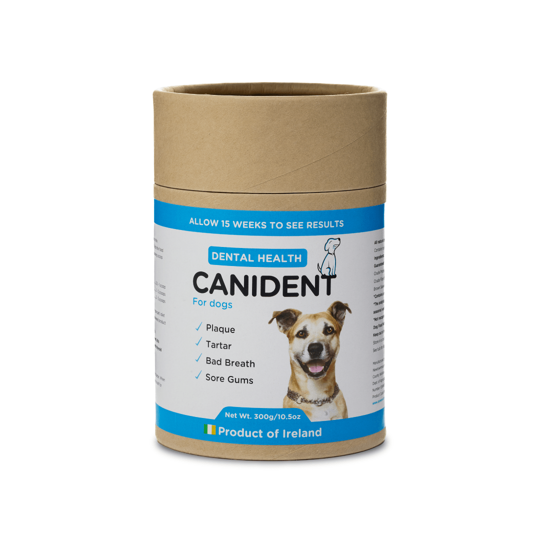 Larger 300g Canident tub with blue label, designed to promote dental health and fresh breath for dogs.