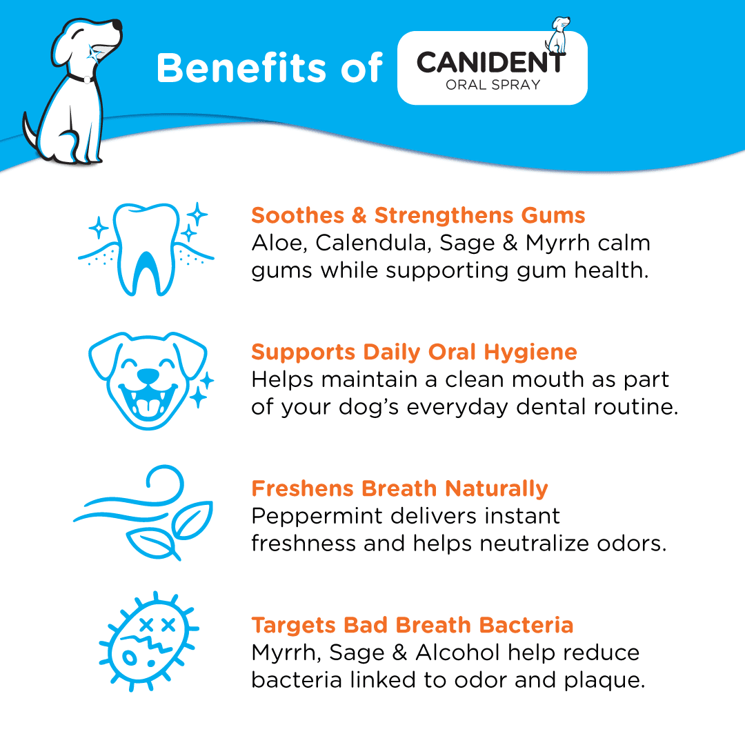 Canident Oral Spray | Dental Health For Dogs - Seaweed For Dogs