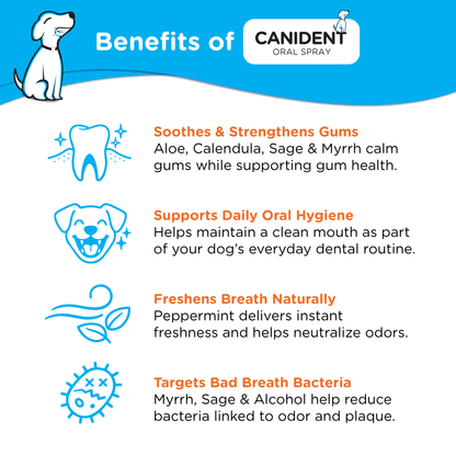 Canident Oral Spray | Dental Health For Dogs - Seaweed For Dogs