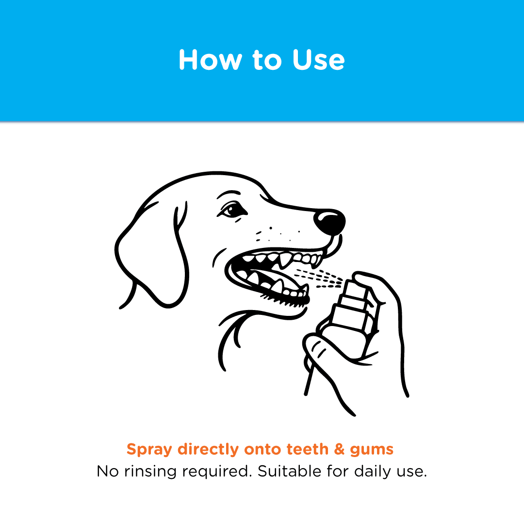 Canident Oral Spray | Dental Health For Dogs - Seaweed For Dogs